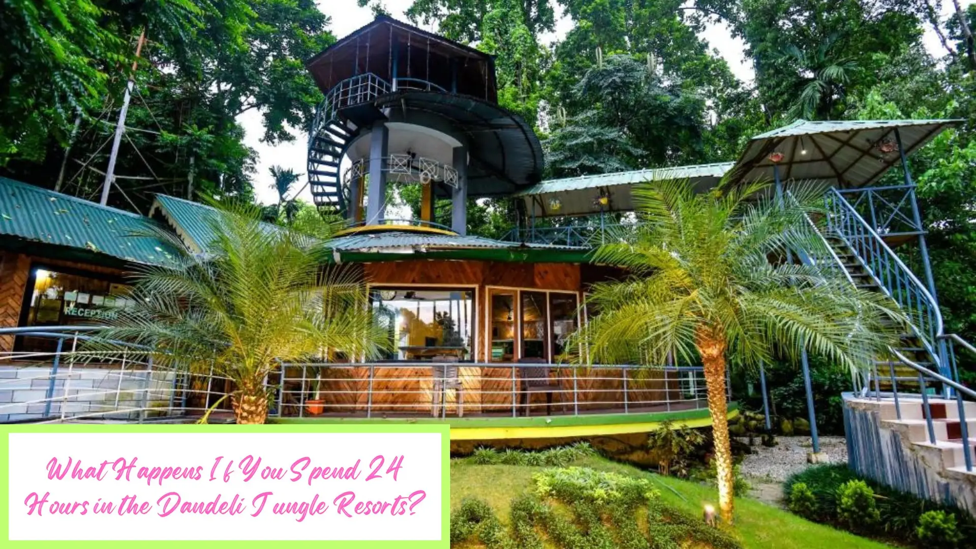 689adfbc081cda9225e3ca07